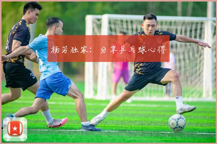杨芳独家：分享乒乓球心得