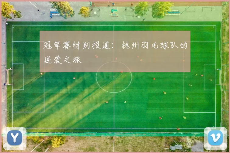 冠军赛特别报道：杭州羽毛球队的逆袭之旅