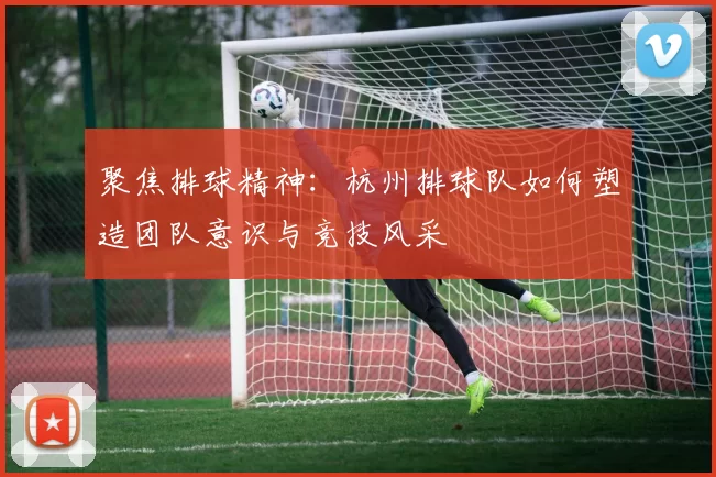 聚焦排球精神：杭州排球队如何塑造团队意识与竞技风采