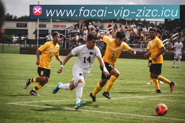 米兰体育服务体系